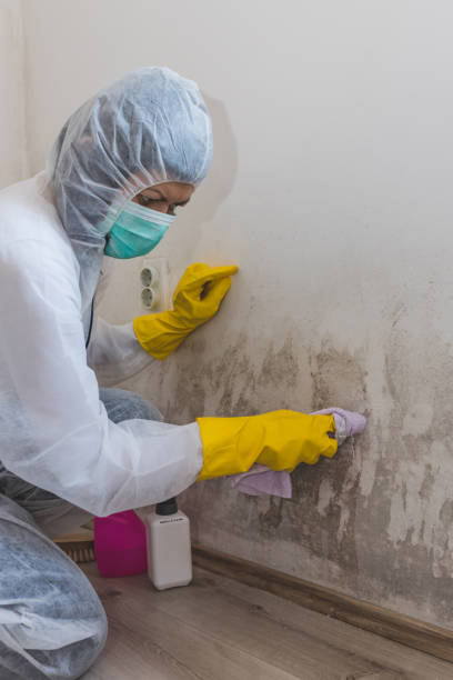 Best Mold Odor Removal Services  in Chandler, OK