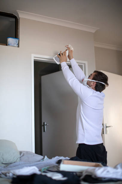 Reliable Chandler, OK Mold Removal Solutions