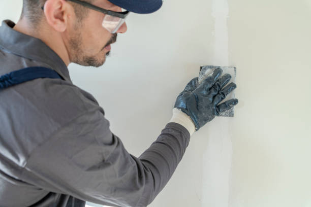 Best Asbestos and Lead Testing During Mold Inspection  in Chandler, OK